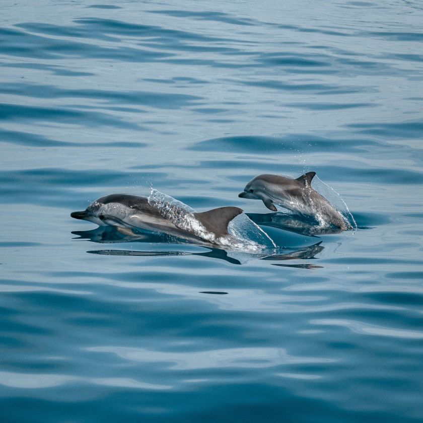 Go on a Sunset Cruise