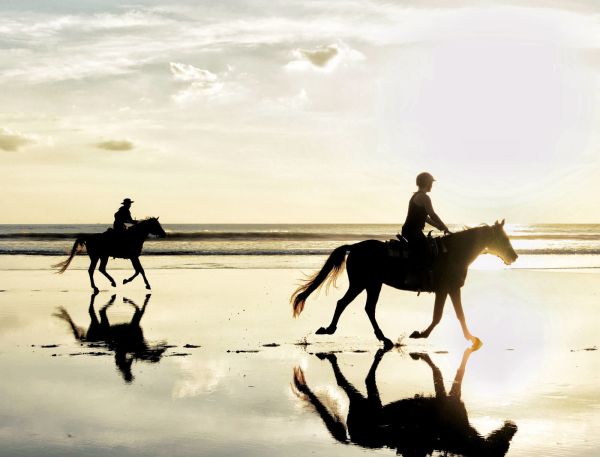 People Riding Horses On The Beach