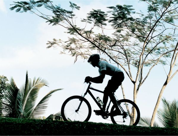 A Person Riding A Bicycle