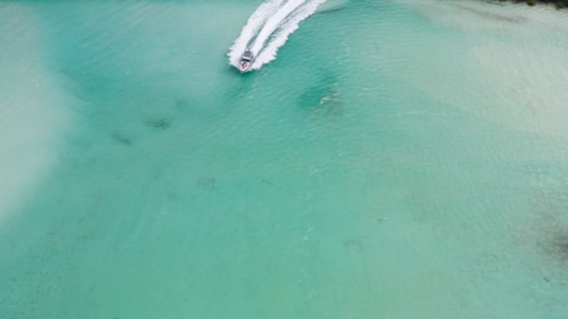 A Person Swimming In The Water