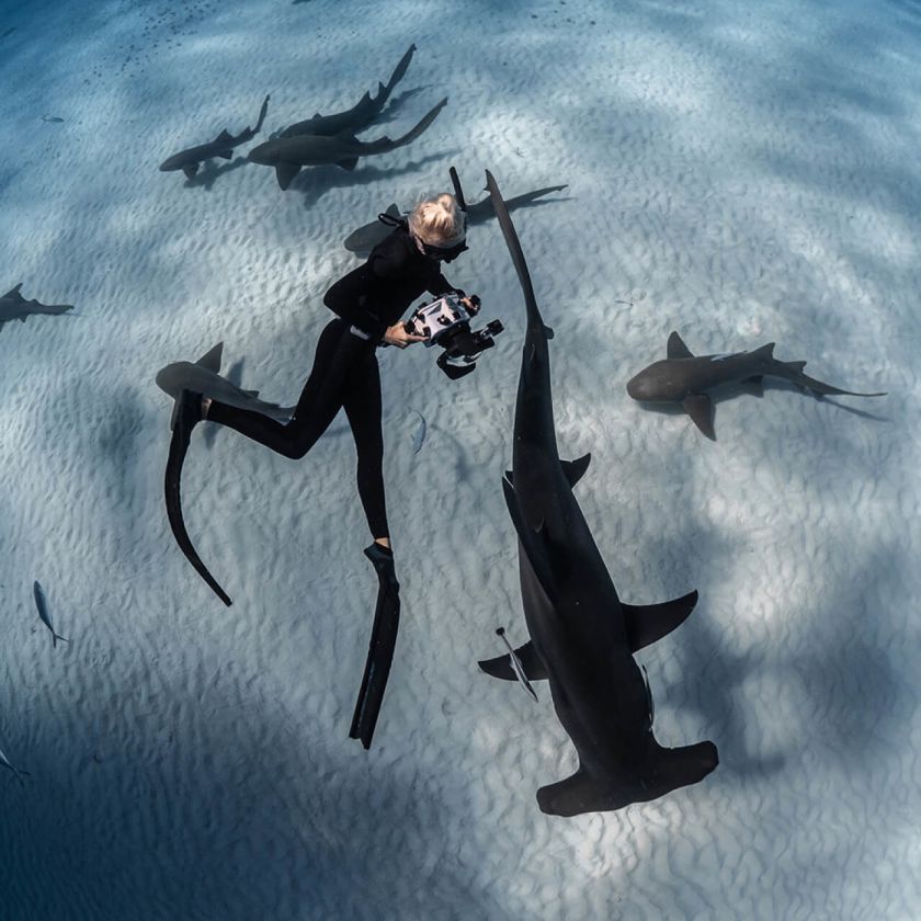 A Sharks4Kids Ocean Discovery