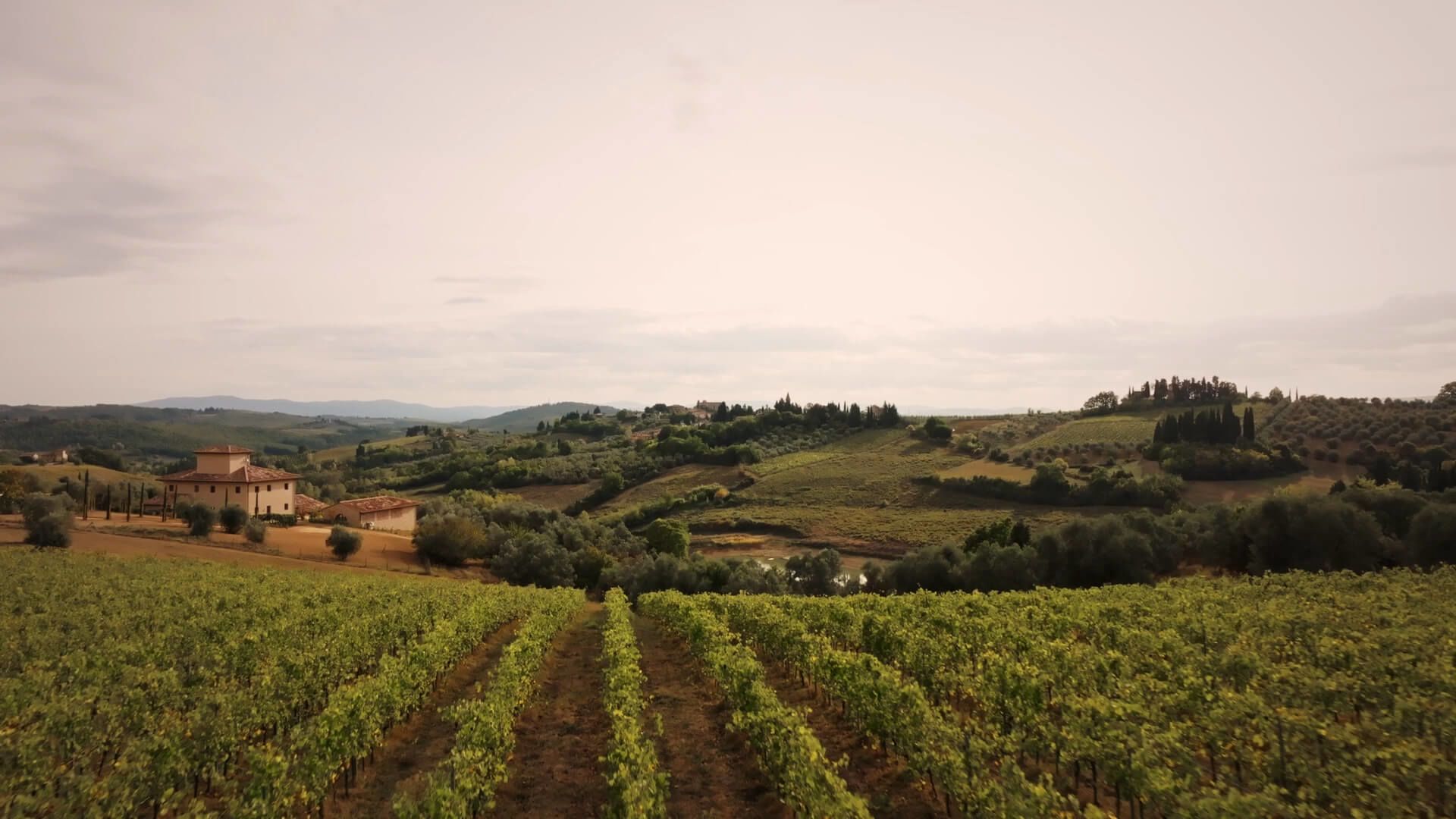 A Green Landscape With A House And Trees