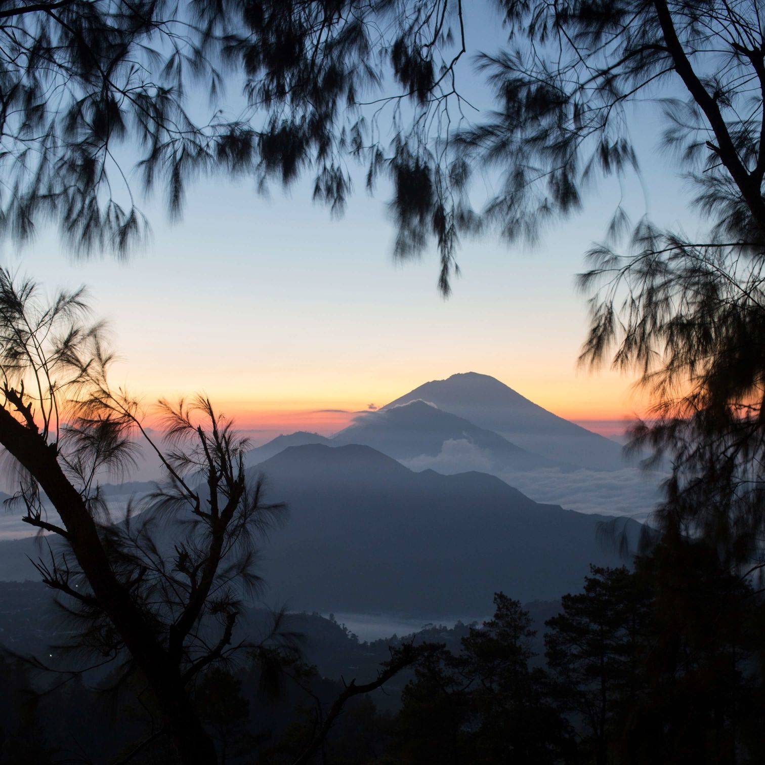 A View Of A Mountain Range From A Tree