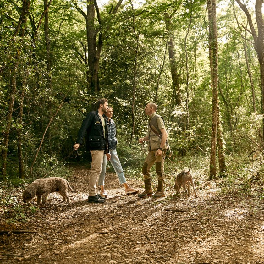 A Man And Woman Walking With Dogs In The Woods