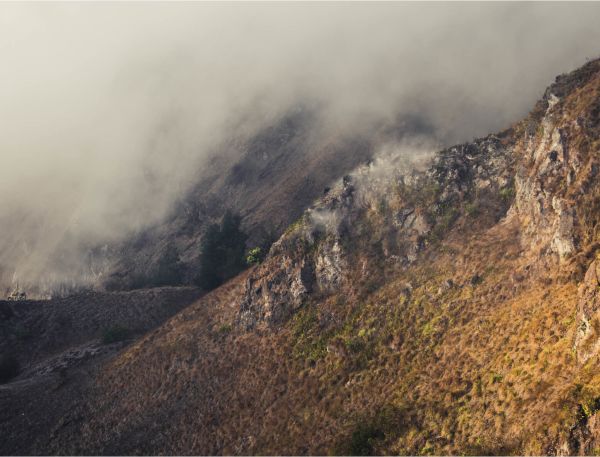A Foggy Mountain Side