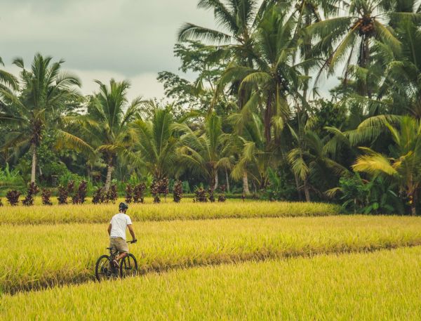 A Person Riding A Bike In A Field Of Grass