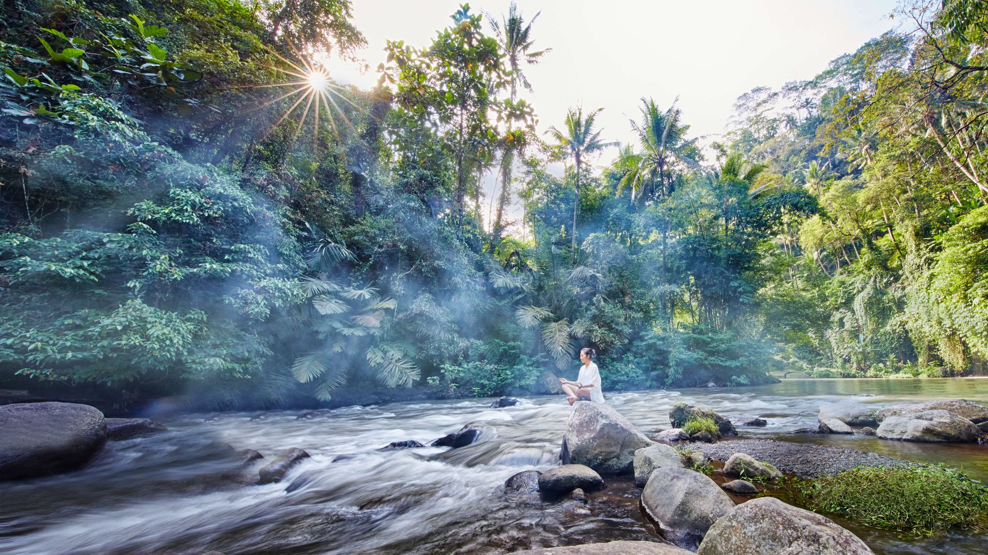 A Person Sitting On A Rock By A River With Trees And Plants