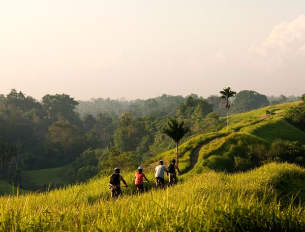 A Group Of People Walking On A Hill With Trees And Grass