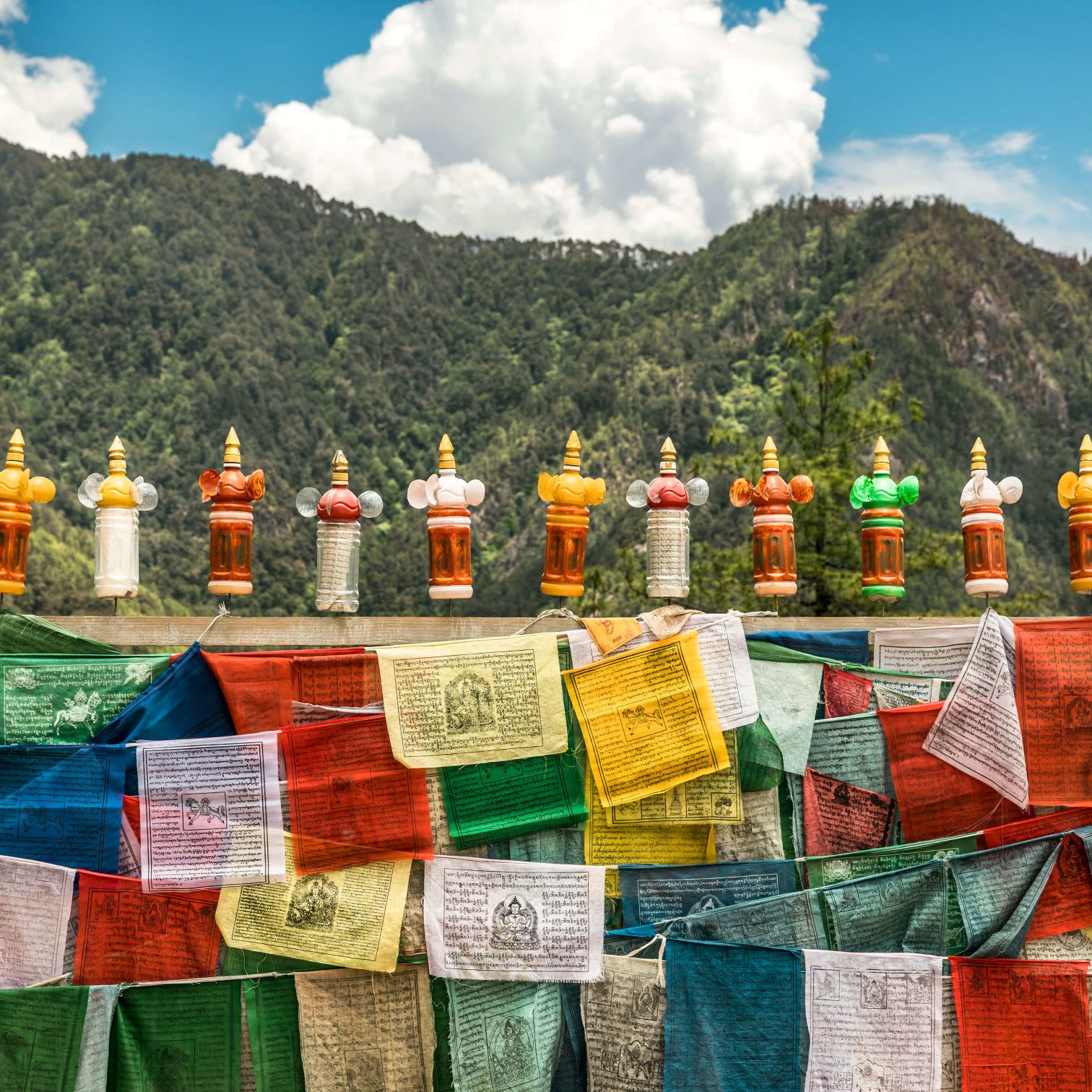 A Group Of Bags Of Food