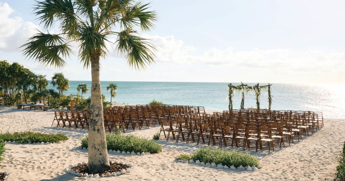 A Beach With Palm Trees And A Body Of Water In The Background
