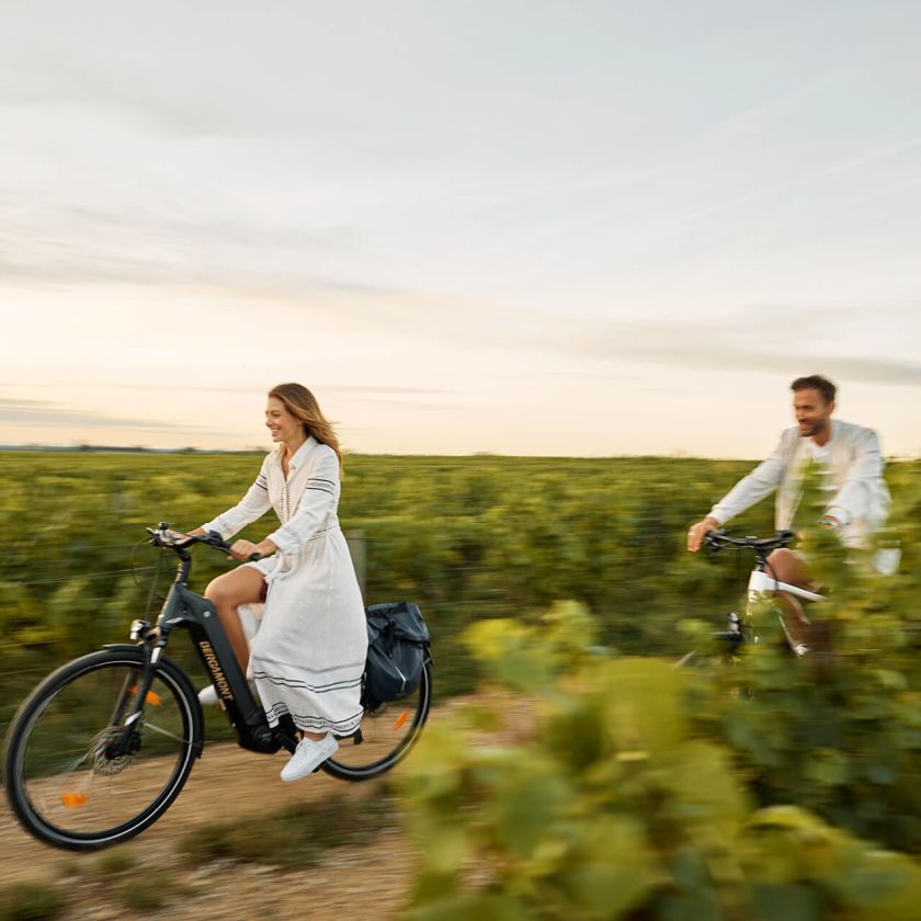 Cycling in the Heart of Wine Country