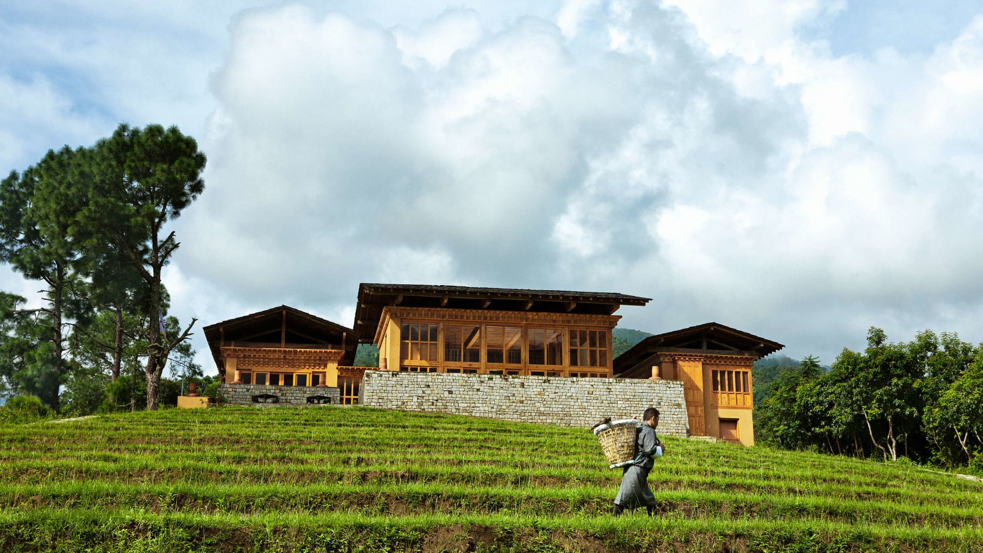 A Person Walking In A Field
