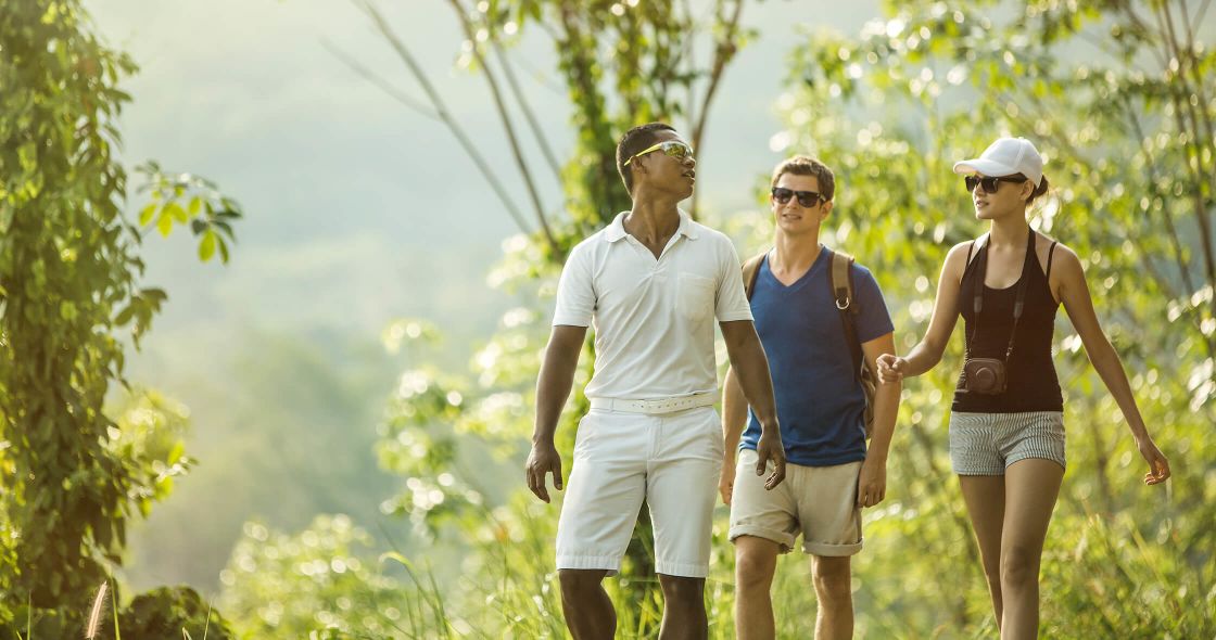A Group Of People Walking On A Path In The Woods